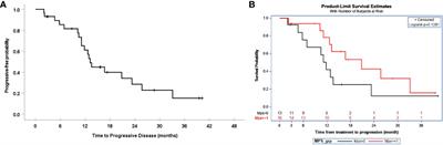 Carboplatin, paclitaxel, and pembrolizumab followed by pembrolizumab maintenance for primary treatment of incompletely resected epithelial ovarian cancer